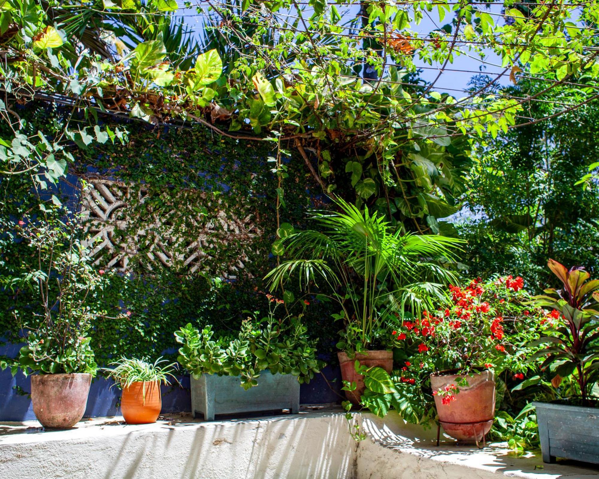 Casa Marimba La Laguna Exterior foto